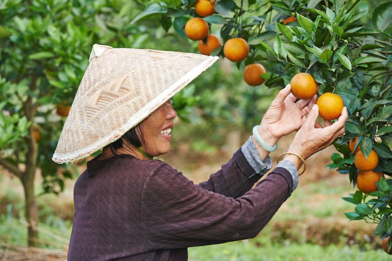 Agricultural Farm Worker